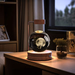 Crystal Ball Cosmic Dinosaur Night Light | USB Warm Bedside Lamp & Gift